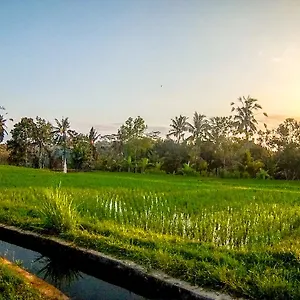 https://ubud-paradise-villa.ubudhotelsnow.com